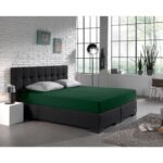 Bild von Zelesta Spannbetttuch Single Jersey Botanisch Grün – 160/180×200